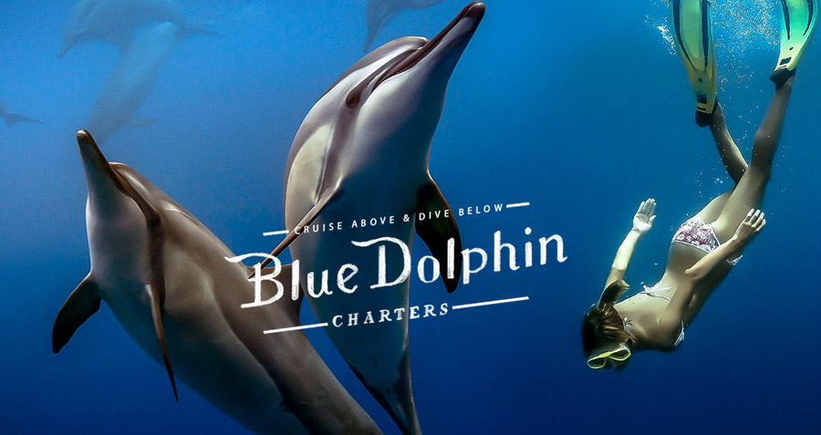 Screenshot http://bluedolphinkauai.com/
