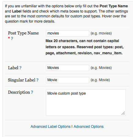 Custom Post Type Plugin Screenshot