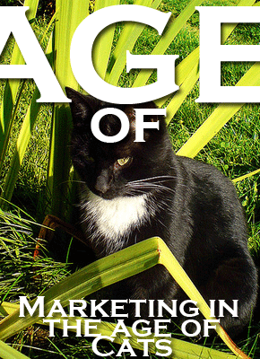 Marketing in the Age of Cats