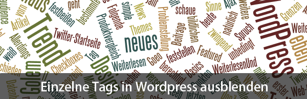 Einzelne Tags in Wordpress ausblenden